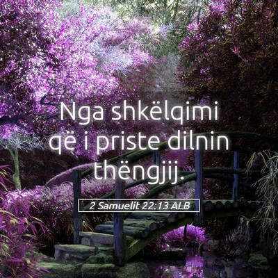 Picture 05 - 2 Samuelit 22:13 ALB - Nga shkëlqimi që i priste dilnin - Bible Verse Picture