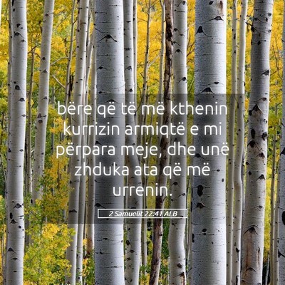Picture 05 - 2 Samuelit 22:41 ALB - bëre që të më kthenin kurrizin armiqtë e mi - Bible Verse Picture