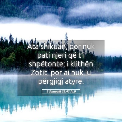 Picture 05 - 2 Samuelit 22:42 ALB - Ata shikuan, por nuk pati njeri që t’i - Bible Verse Picture