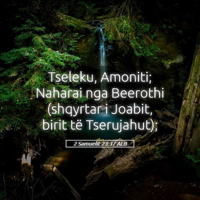Picture 05 - 2 Samuelit 23:37 ALB - Tseleku, Amoniti; Naharai nga Beerothi (shqyrtar - Bible Verse Picture