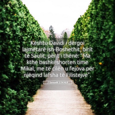 Picture 05 - 2 Samuelit 3:14 ALB - Kështu Davidi i dërgoi lajmëtarë - Bible Verse Picture