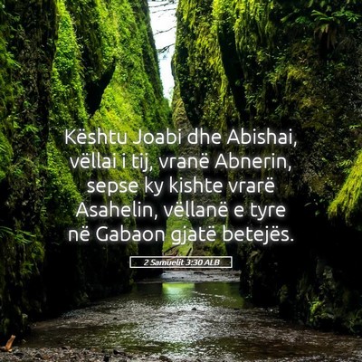 Picture 05 - 2 Samuelit 3:30 ALB - Kështu Joabi dhe Abishai, vëllai i tij, vranë - Bible Verse Picture
