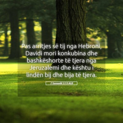 Picture 05 - 2 Samuelit 5:13 ALB - Pas arritjes së tij nga Hebroni, Davidi mori - Bible Verse Picture