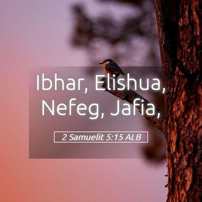 Picture 05 - 2 Samuelit 5:15 ALB - Ibhar, Elishua, Nefeg, - Bible Verse Picture