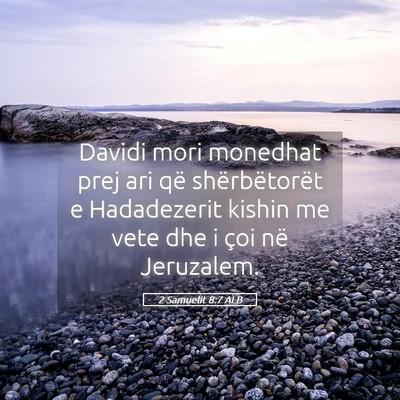 Picture 05 - 2 Samuelit 8:7 ALB - Davidi mori monedhat prej ari që shërbëtorët - Bible Verse Picture