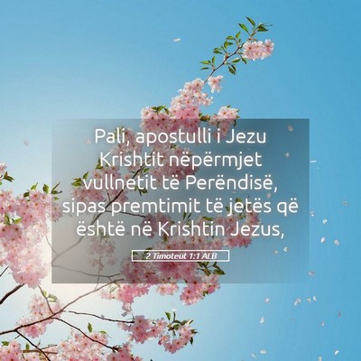 Picture 05 - 2 Timoteut 1:1 ALB - Pali, apostulli i Jezu Krishtit nëpërmjet - Bible Verse Picture