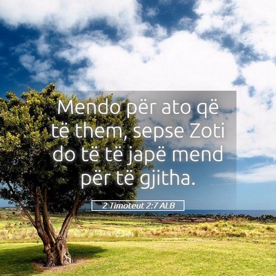 Picture 05 - 2 Timoteut 2:7 ALB - Mendo për ato që të them, sepse Zoti do të - Bible Verse Picture