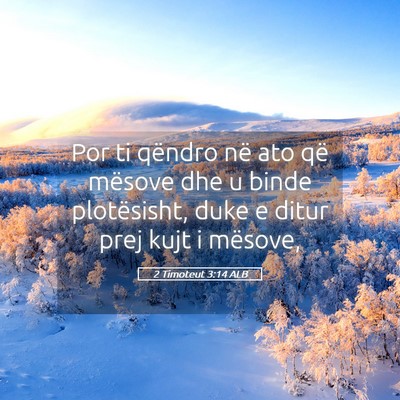 Picture 05 - 2 Timoteut 3:14 ALB - Por ti qëndro në ato që mësove dhe u binde - Bible Verse Picture