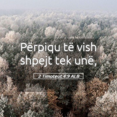 Picture 05 - 2 Timoteut 4:9 ALB - Përpiqu të vish shpejt tek - Bible Verse Picture