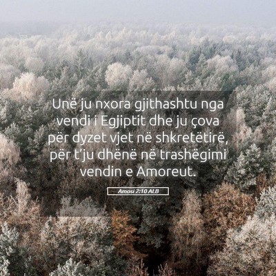 Picture 05 - Amosi 2:10 ALB - Unë ju nxora gjithashtu nga vendi i Egjiptit dhe - Bible Verse Picture