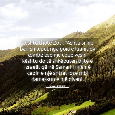 Picture 05 - Amosi 3:12 ALB - Kështu thotë Zoti: 