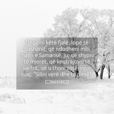 Picture 05 - Amosi 4:1 ALB - Dëgjoni këtë fjalë, lopë të Bashanit, që - Bible Verse Picture