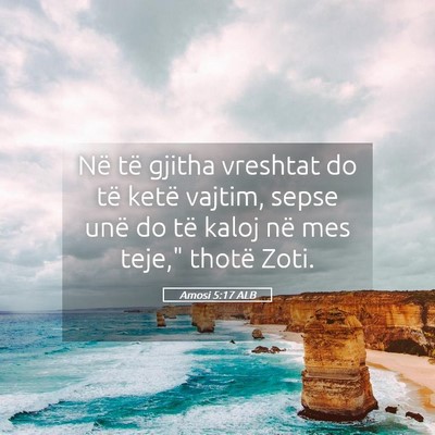 Picture 05 - Amosi 5:17 ALB - Në të gjitha vreshtat do të ketë vajtim, - Bible Verse Picture