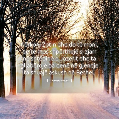 Picture 05 - Amosi 5:6 ALB - Kërkoni Zotin dhe do të rroni, që të mos - Bible Verse Picture