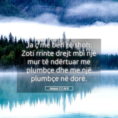 Picture 05 - Amosi 7:7 ALB - Ja ç’më bëri të shoh: Zoti rrinte drejt mbi - Bible Verse Picture