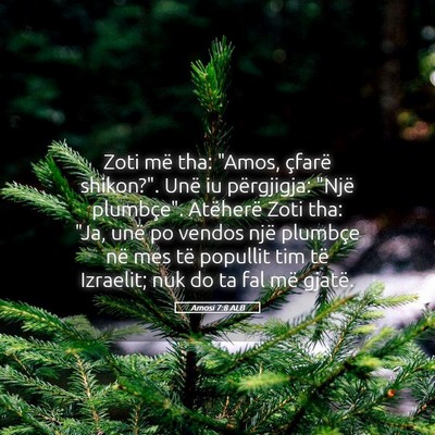 Picture 05 - Amosi 7:8 ALB - Zoti më tha: 