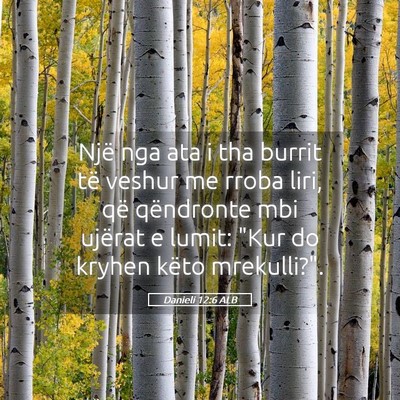 Picture 05 - Danieli 12:6 ALB - Një nga ata i tha burrit të veshur me rroba - Bible Verse Picture