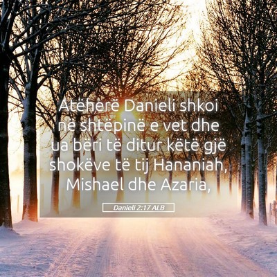 Picture 05 - Danieli 2:17 ALB - Atëherë Danieli shkoi në shtëpinë e vet dhe - Bible Verse Picture