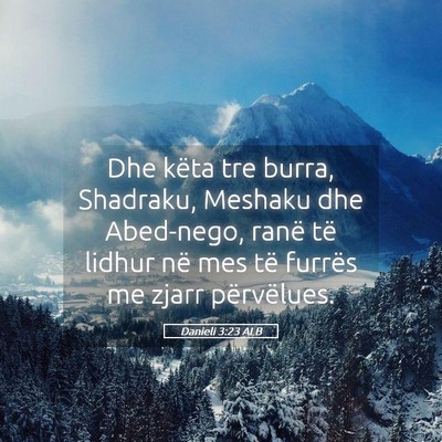 Picture 05 - Danieli 3:23 ALB - Dhe këta tre burra, Shadraku, Meshaku dhe - Bible Verse Picture