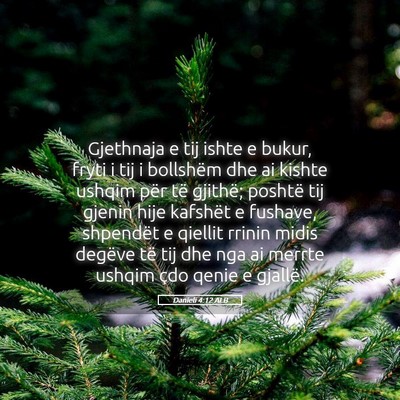 Picture 05 - Danieli 4:12 ALB - Gjethnaja e tij ishte e bukur, fryti i tij i - Bible Verse Picture