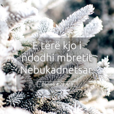 Picture 05 - Danieli 4:28 ALB - E tërë kjo i ndodhi mbretit - Bible Verse Picture