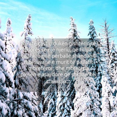 Picture 05 - Danieli 5:5 ALB - Në atë çast u dukën gishtërinjtë e dorës - Bible Verse Picture