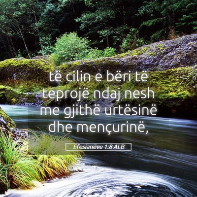 Picture 05 - Efesianëve 1:8 ALB - të cilin e bëri të teprojë ndaj nesh me - Bible Verse Picture