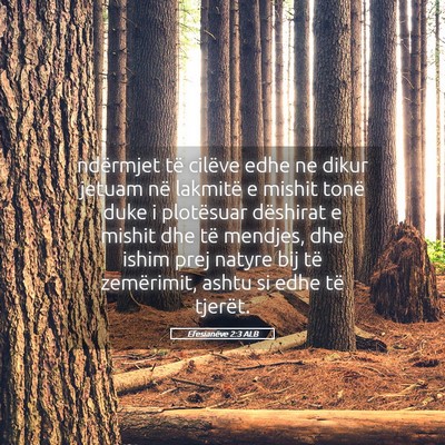Picture 05 - Efesianëve 2:3 ALB - ndërmjet të cilëve edhe ne dikur jetuam në - Bible Verse Picture