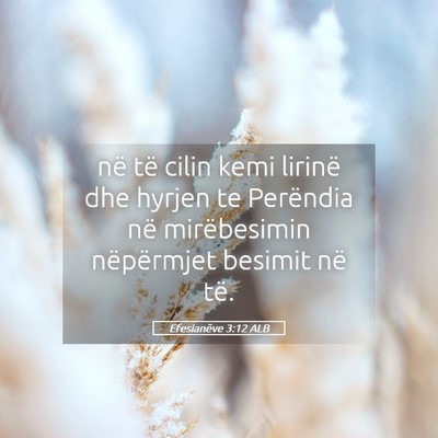 Picture 05 - Efesianëve 3:12 ALB - në të cilin kemi lirinë dhe hyrjen te - Bible Verse Picture