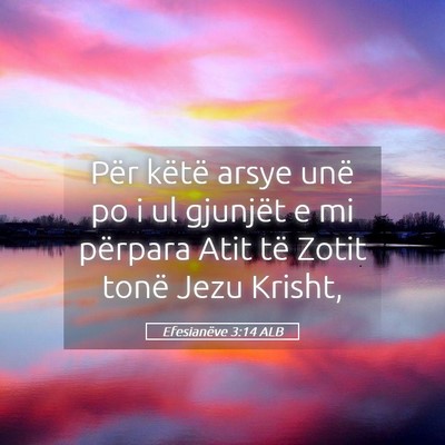 Picture 05 - Efesianëve 3:14 ALB - Për këtë arsye unë po i ul gjunjët e mi - Bible Verse Picture