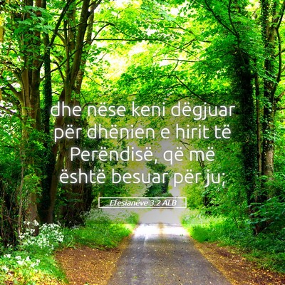 Picture 05 - Efesianëve 3:2 ALB - dhe nëse keni dëgjuar për dhënien e hirit të - Bible Verse Picture