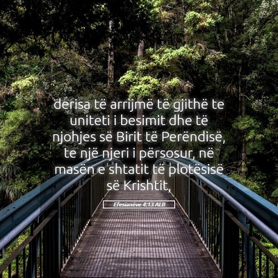 Picture 05 - Efesianëve 4:13 ALB - derisa të arrijmë të gjithë te uniteti i - Bible Verse Picture
