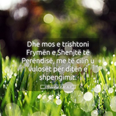 Picture 05 - Efesianëve 4:30 ALB - Dhe mos e trishtoni Frymën e Shenjtë të - Bible Verse Picture
