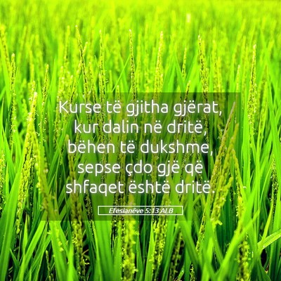 Picture 05 - Efesianëve 5:13 ALB - Kurse të gjitha gjërat, kur dalin në dritë, - Bible Verse Picture