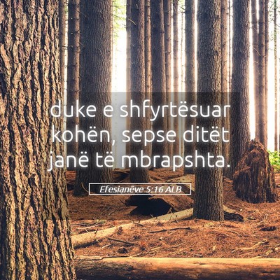 Picture 05 - Efesianëve 5:16 ALB - duke e shfyrtësuar kohën, sepse ditët janë - Bible Verse Picture