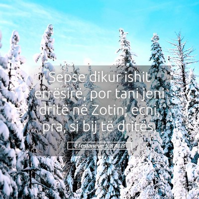 Picture 05 - Efesianëve 5:8 ALB - Sepse dikur ishit errësirë, por tani jeni - Bible Verse Picture
