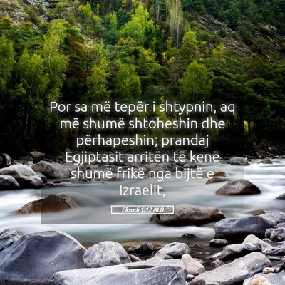 Picture 05 - Eksodi 1:12 ALB - Por sa më tepër i shtypnin, aq më shumë - Bible Verse Picture