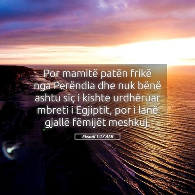 Picture 05 - Eksodi 1:17 ALB - Por mamitë patën frikë nga Perëndia dhe nuk - Bible Verse Picture