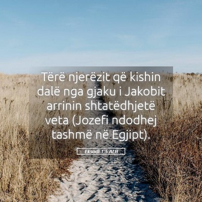 Picture 05 - Eksodi 1:5 ALB - Tërë njerëzit që kishin dalë nga gjaku i - Bible Verse Picture