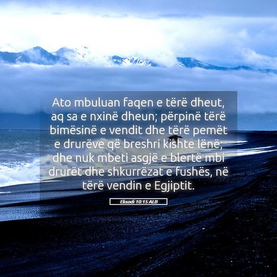 Picture 05 - Eksodi 10:15 ALB - Ato mbuluan faqen e tërë dheut, aq sa e nxinë - Bible Verse Picture