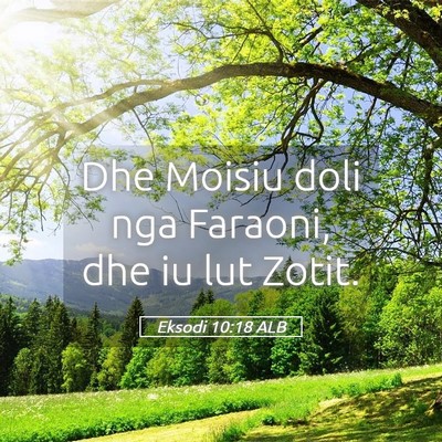 Picture 05 - Eksodi 10:18 ALB - Dhe Moisiu doli nga Faraoni, dhe iu lut - Bible Verse Picture