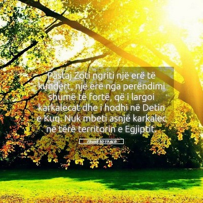 Picture 05 - Eksodi 10:19 ALB - Pastaj Zoti ngriti një erë të kundërt, një - Bible Verse Picture