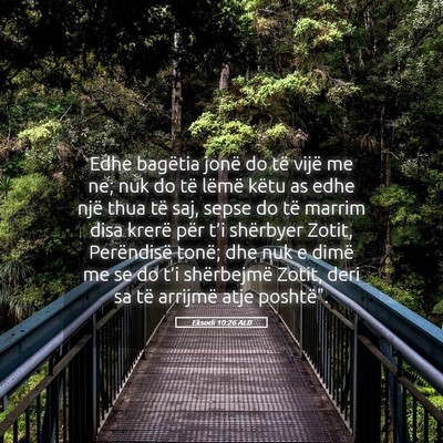 Picture 05 - Eksodi 10:26 ALB - Edhe bagëtia jonë do të vijë me ne; nuk do - Bible Verse Picture