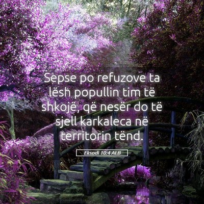 Picture 05 - Eksodi 10:4 ALB - Sepse po refuzove ta lësh popullin tim të - Bible Verse Picture