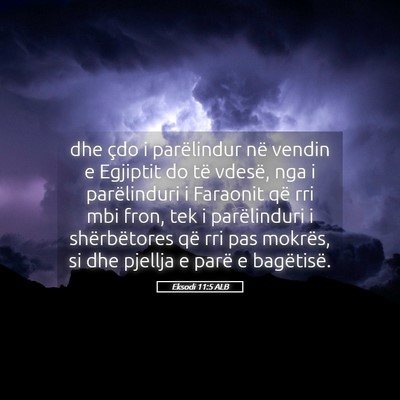 Picture 05 - Eksodi 11:5 ALB - dhe çdo i parëlindur në vendin e Egjiptit do - Bible Verse Picture