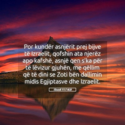 Picture 05 - Eksodi 11:7 ALB - Por kundër asnjërit prej bijve të Izraelit, - Bible Verse Picture