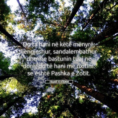 Picture 05 - Eksodi 12:11 ALB - Do ta hani në këtë mënyrë: ijengjeshur, - Bible Verse Picture