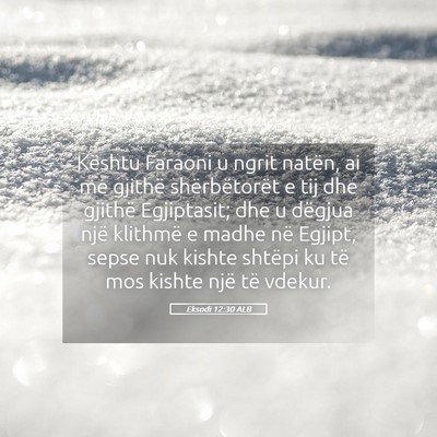 Picture 05 - Eksodi 12:30 ALB - Kështu Faraoni u ngrit natën, ai me gjithë - Bible Verse Picture