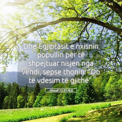 Picture 05 - Eksodi 12:33 ALB - Dhe Egjiptasit e nxisnin popullin për të - Bible Verse Picture