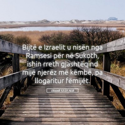 Picture 05 - Eksodi 12:37 ALB - Bijtë e Izraelit u nisën nga Ramsesi për në - Bible Verse Picture
